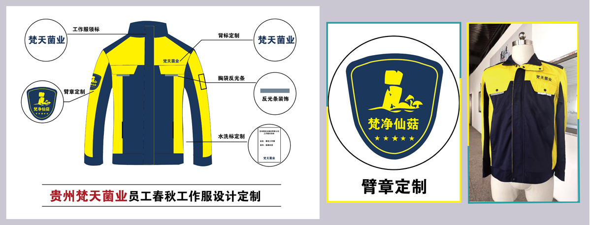 梵天菌业工服款式图片